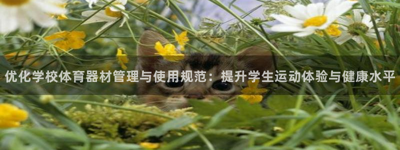 必一体育最新官网入口