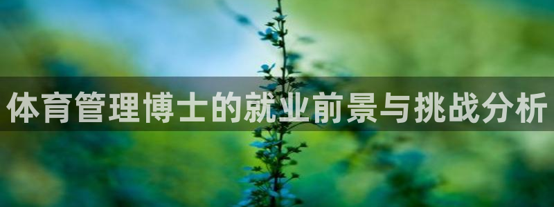 必一体育app下载最