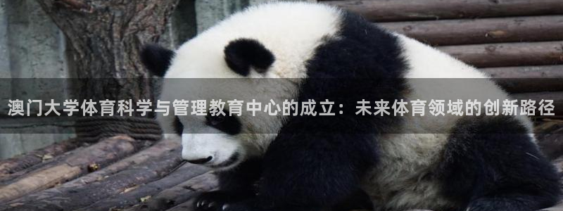 必一体育下载入口：澳