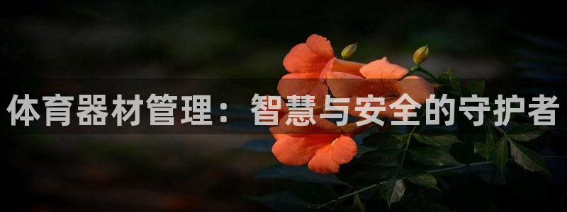 必一体育怎么下载：体