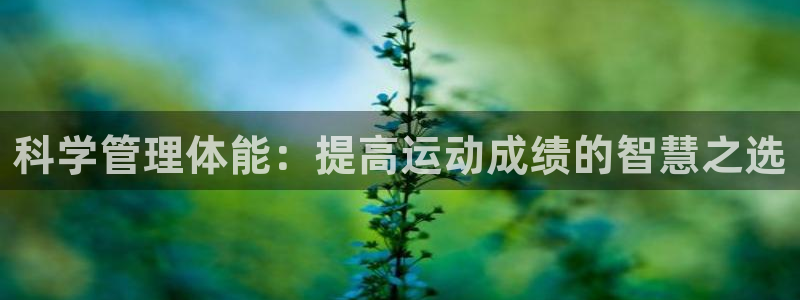 必一体育电子app：
