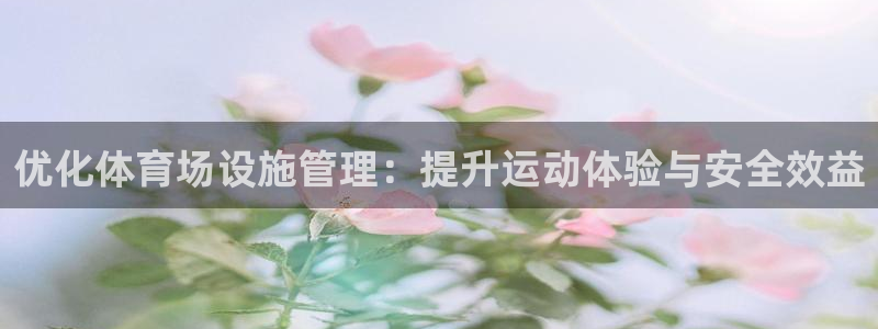 必一体育没了：优化体