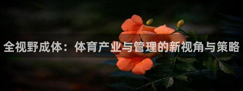 必一体育：全视野成体