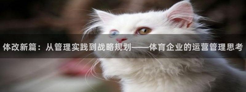 必一体育在线玩：体改