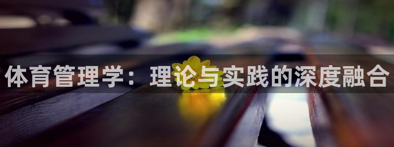 必一体育官网入口：体