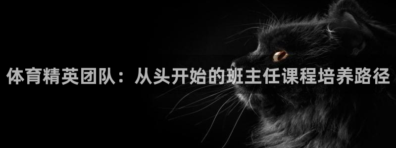 必一体育流水线是什么