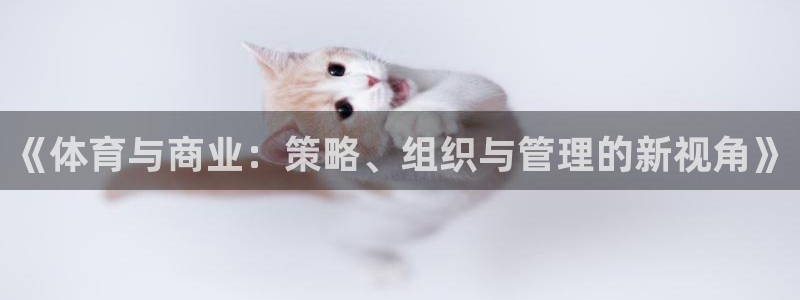 Bsport体育必一
