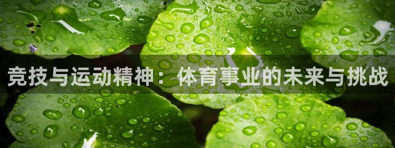 必一体育能提现大金额