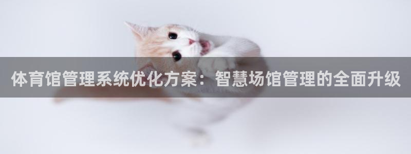 必一体育sportB