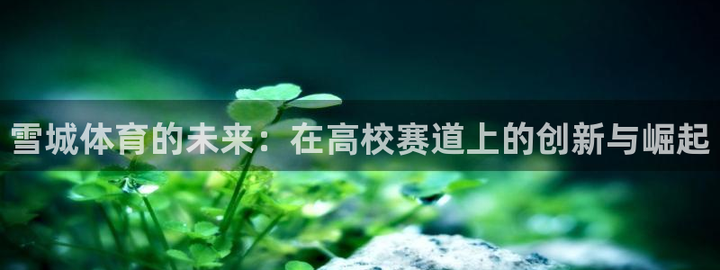 必一体育官方网站入口