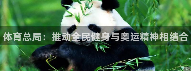 必一体育没了：体育总