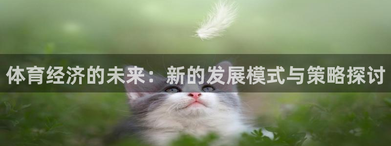 必一体育登入：体育经