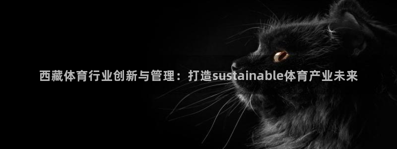 b体育必一下载：西藏