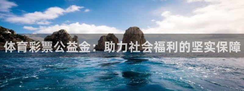 必一体育网页登录版官