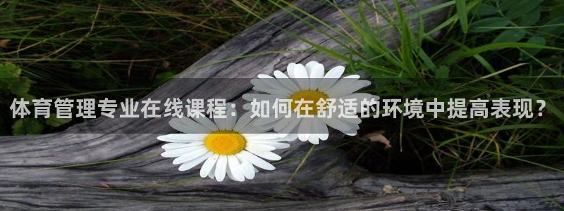 必一体育秀给网：体育