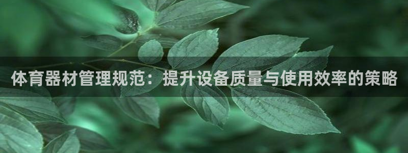必一运动体育：体育器