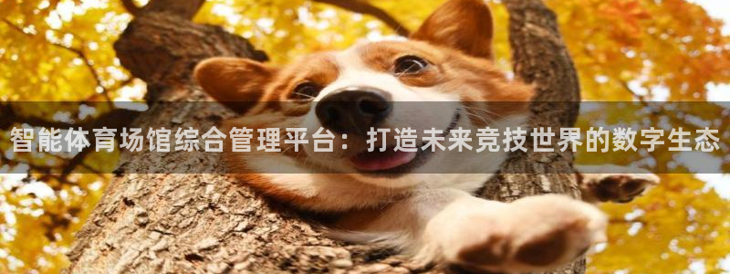 必一体育app下载装