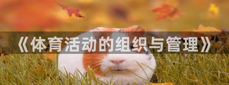 必一体育运动app下