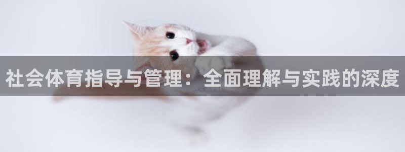 必一体育下载app：社会体育指导与管理：全面理解与实践的深度