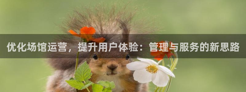 必一体育bsport