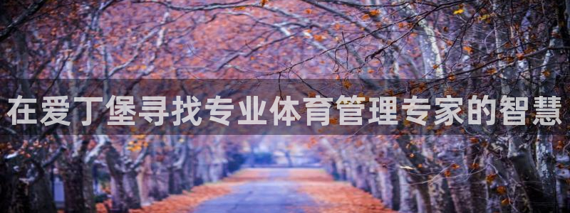 必一体育是哪里的台子