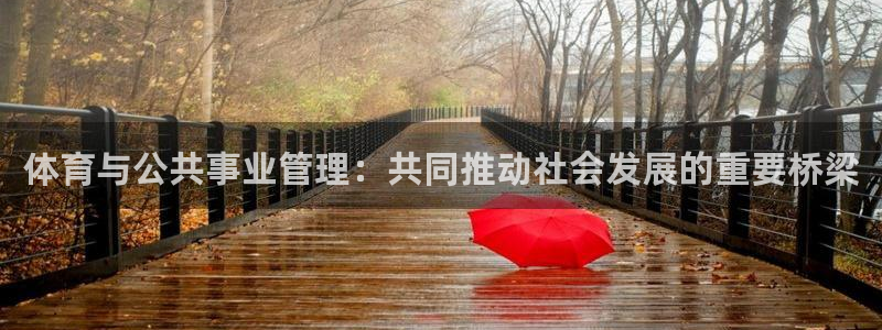 必一体育怎么下载：体