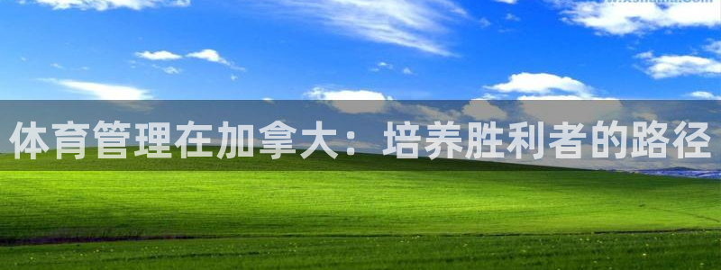 必一体育sport官方网站