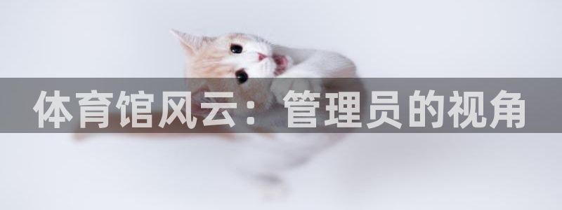 必一体育sport下载