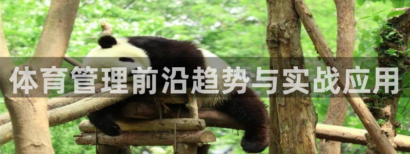 必一体育官方app下