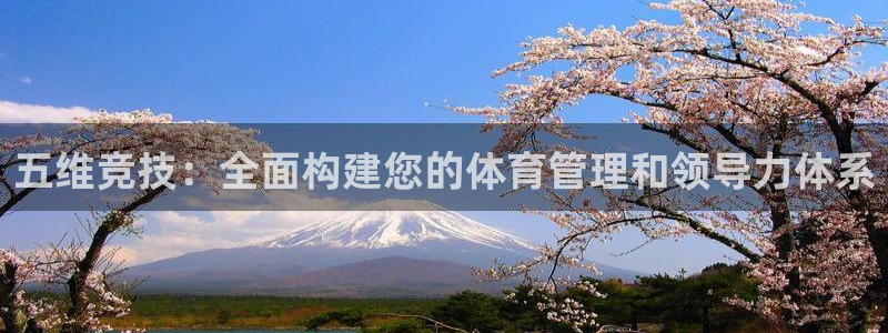 必一体育黑钱：五维竞