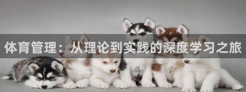 必一运动官网平台：体