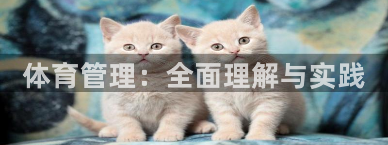 必一体育sport下