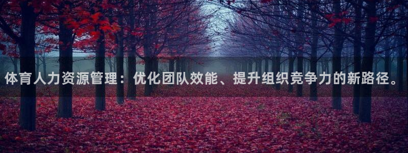 必一体育在线官网：体