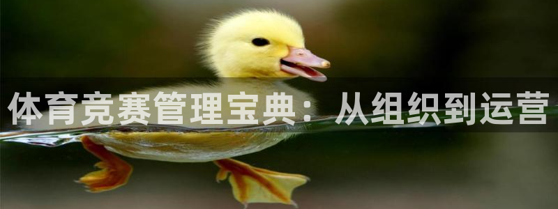 必一体育下载移动版