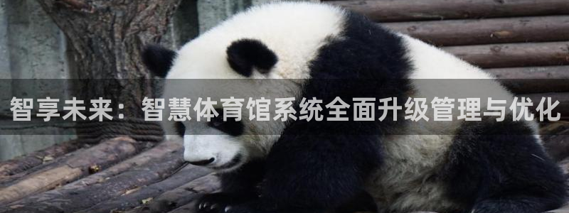 必一体育官方网站入口