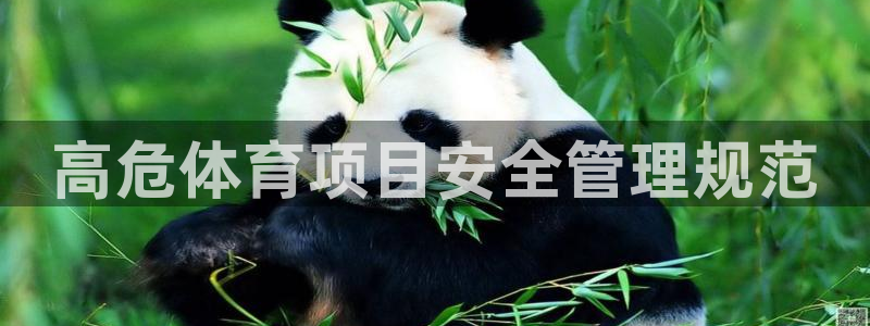 必一体育秀给网：高危