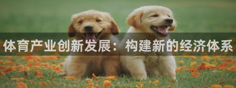 必一体育app下载最