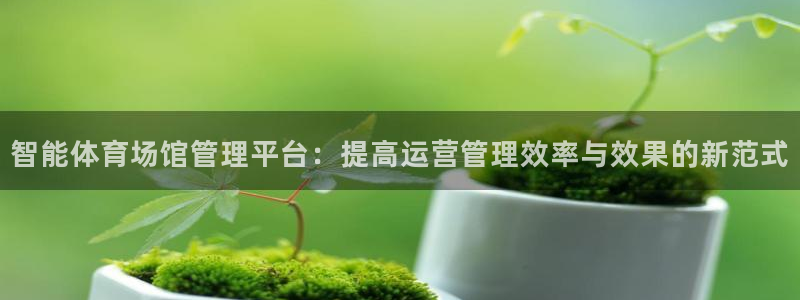 必一体育app下载装