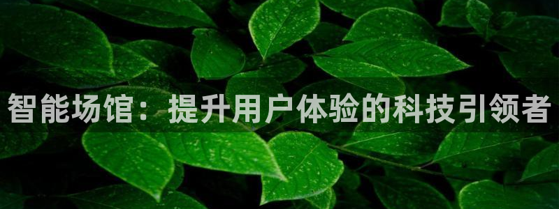 必一体育下载app下