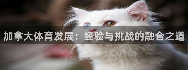 必一体育网页登陆：加