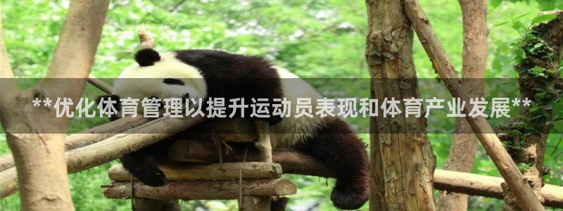 必一体育最新官网入口