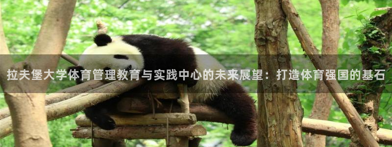 必一体育下载移动版：