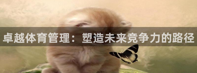 必一体育下载义：卓越