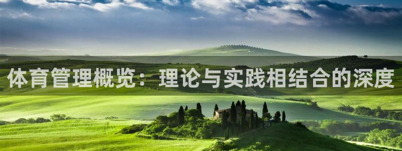 必一体育电子app：