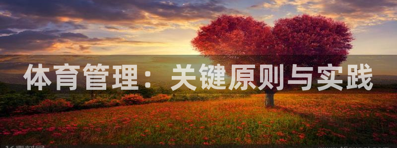 必一体育是啥：体育管