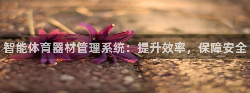 必一运动B-Sport官方网站入口