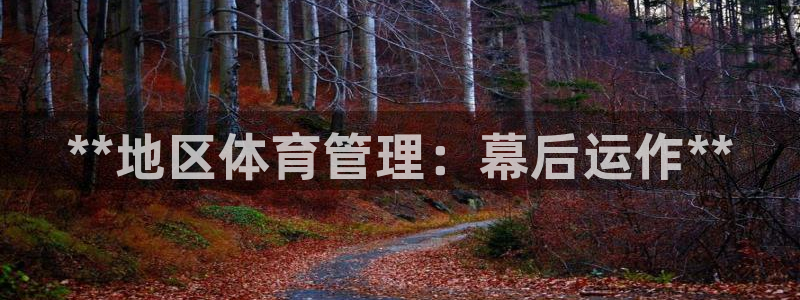 必一体育app官方正版下载