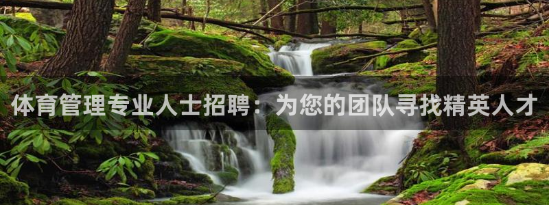 必一运动短信：体育管理专业人士招聘：为您的团队寻找精英人才