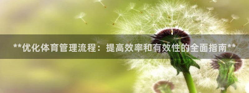必一运动官网平台：**优化体育管理流程：提高效率和有效性的全