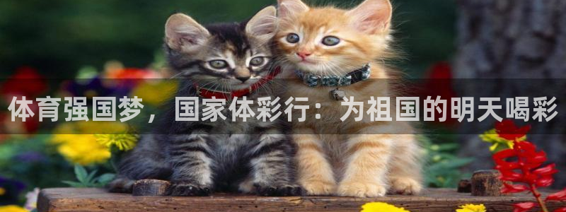 必一体育网址：体育强